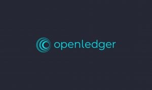 Биржа с «фиатными» смарткоинами OpenLedger: полный обзор и отзывы пользователей о работе проекта