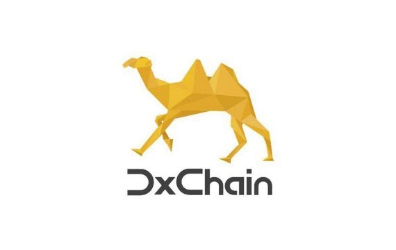 “Большие данные встречают блокчейн”: обзор ICO DxChain и отзывы трейдеров о проекте