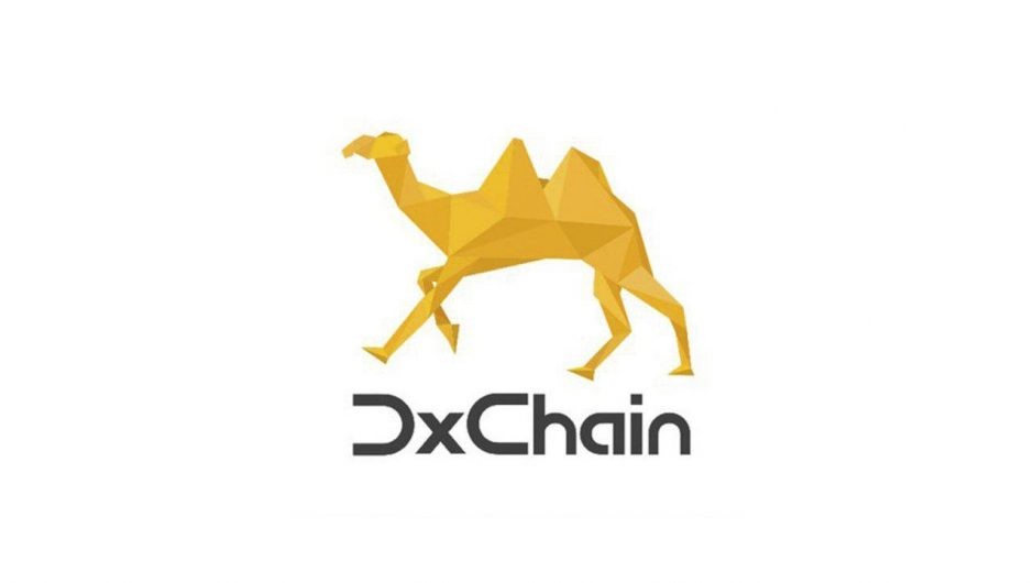 “Большие данные встречают блокчейн”: обзор ICO DxChain и отзывы трейдеров о проекте
