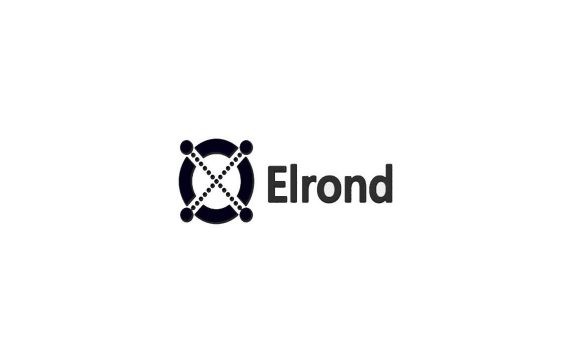 ICO Elrond: обзор перспективного проекта