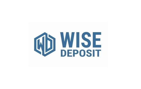 Обзор WiseDeposit: отзывы об инвестиционном проекте, его перспективность и эффективность