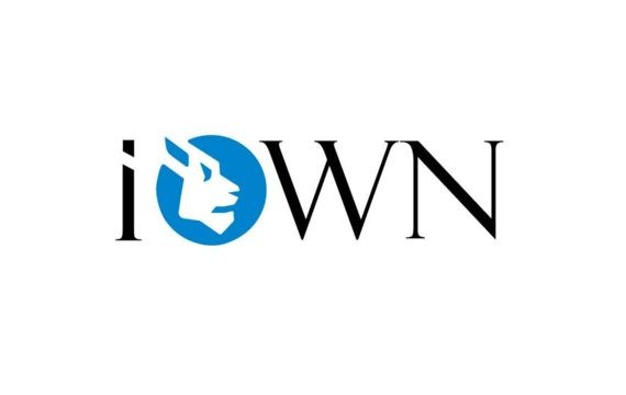 iOWN – обзор ICO-проекта, способного упростить процесс инвестирования