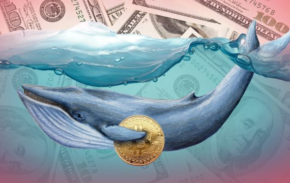 Криптовалютный “кит” провел трансакцию BTC на сумму 445 млн долларов