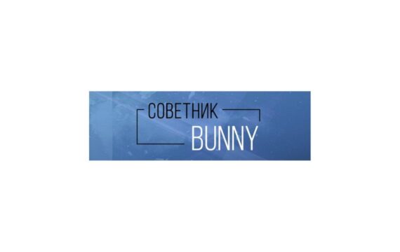 Робот-советник Bunny: обзор и отзывы