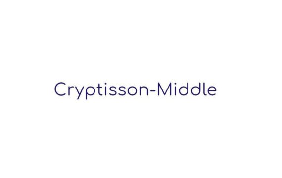 Хайп-проект Cryptisson-Middle: обзор и отзывы о проекте