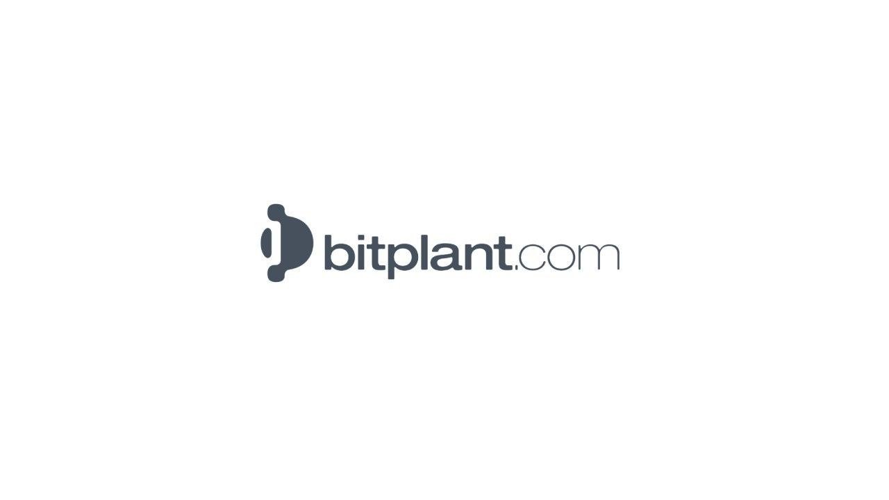 Обзор обменника Bit-plant: отзывы клиентов о сервисе