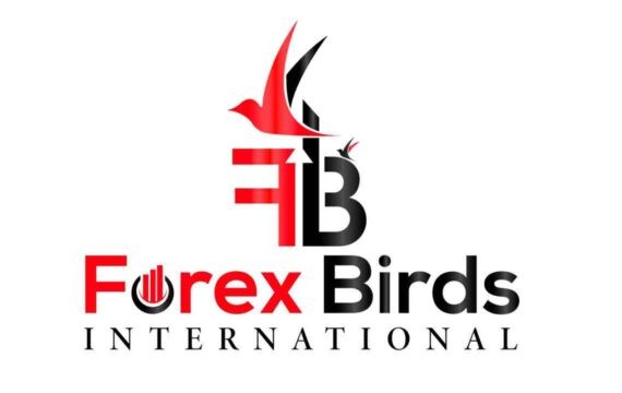 Экспертный обзор брокера Forex Birds: анализ деятельности, отзывы