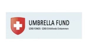UmbrellaFund отзывы о работе псевдо-проекта