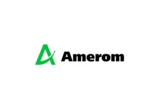 Форекс-брокер Amerom: обзор тарифных планов и отзывы инвесторов