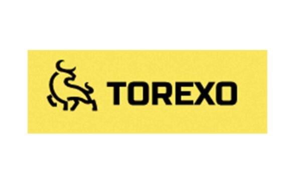Torexo Finance: отзывы инвесторов и детальный обзор условий