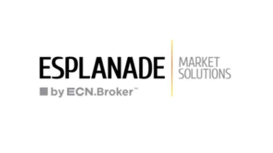 Esplanade Market Solutions: отзывы