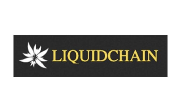 LiquidChain: отзывы