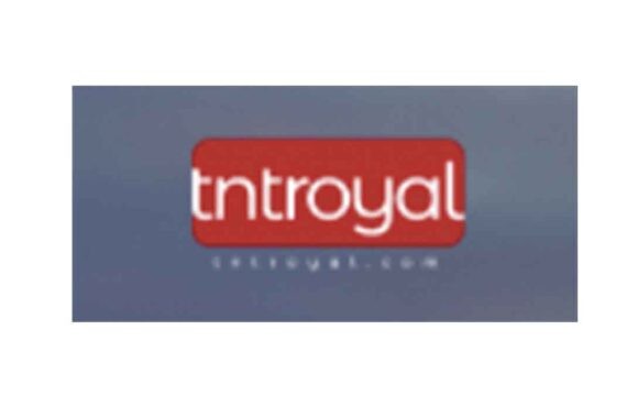 TNT Royal: отзывы о брокере в 2022 году