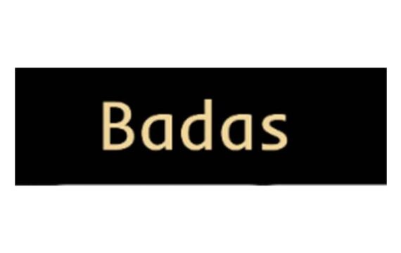 Badas Live: отзывы о брокере в 2022 году