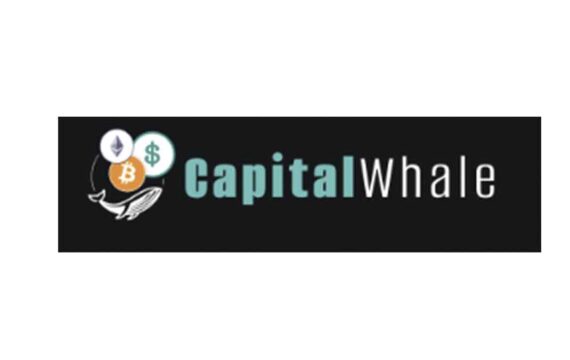Capital Whale: отзывы о криптовалютной бирже в 2022 году