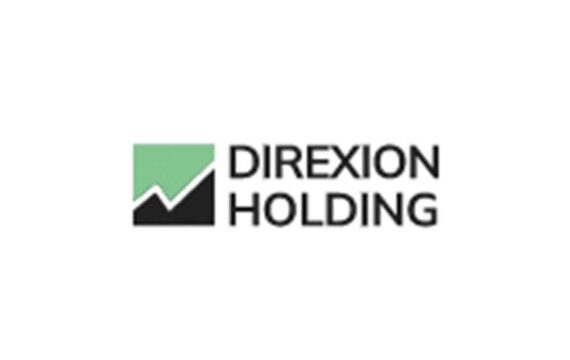 Direxion Holding: отзывы об инвестпроекте в 2022 году