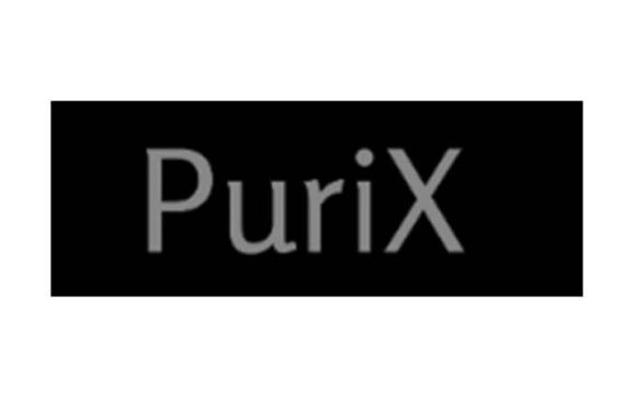 PuriX: отзывы о брокере в 2022 году