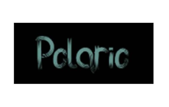 Polario: отзывы о брокере в 2022 году
