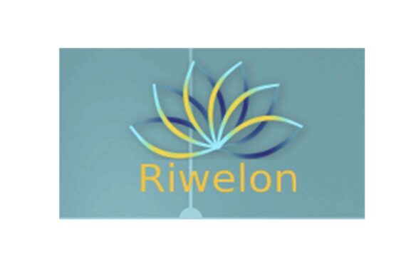 Riwelon: отзывы об инвестиционной компании в 2023 году